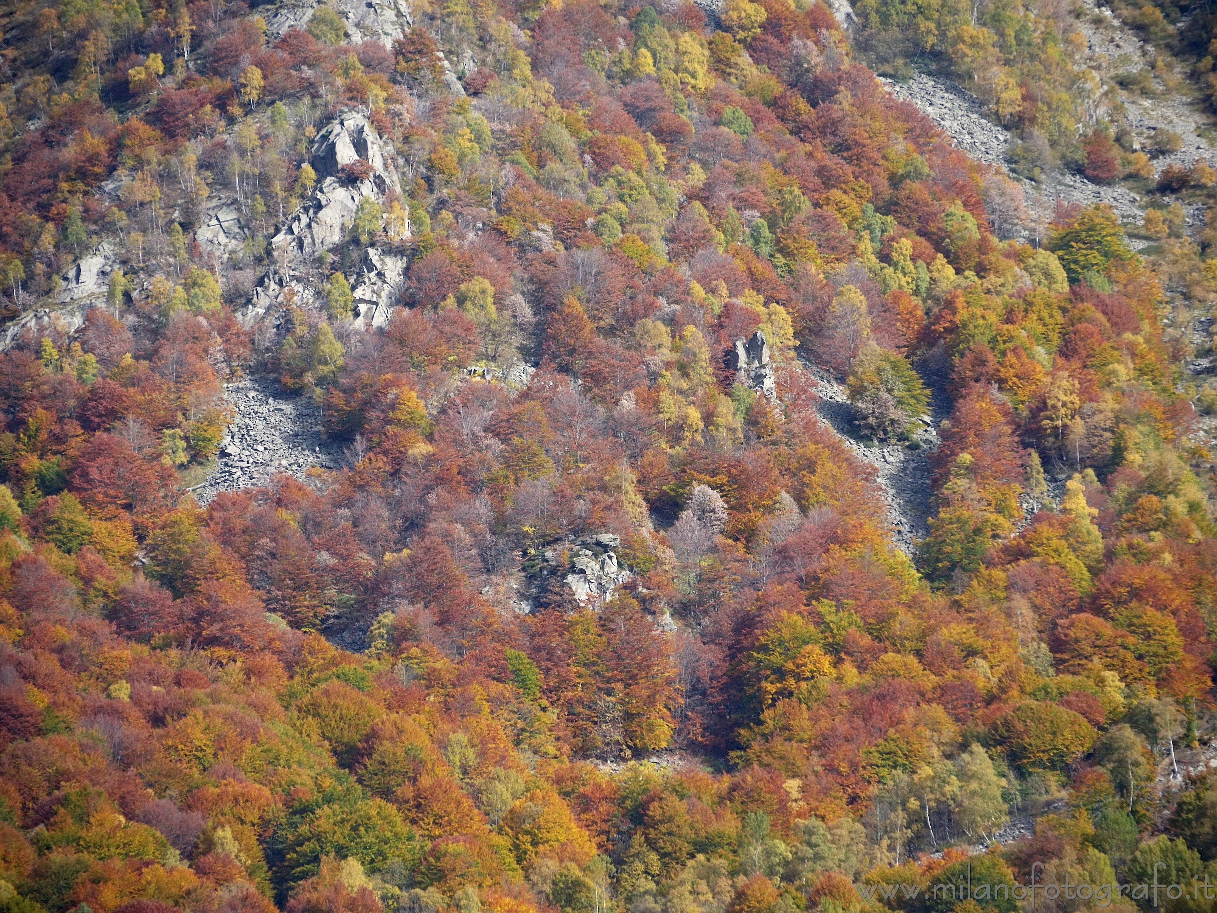 Piaro (Biella) - Pietraie e boschi autunnali nell'Alta Valle del Cervo